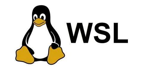 wsl 配置clash for Windows代理